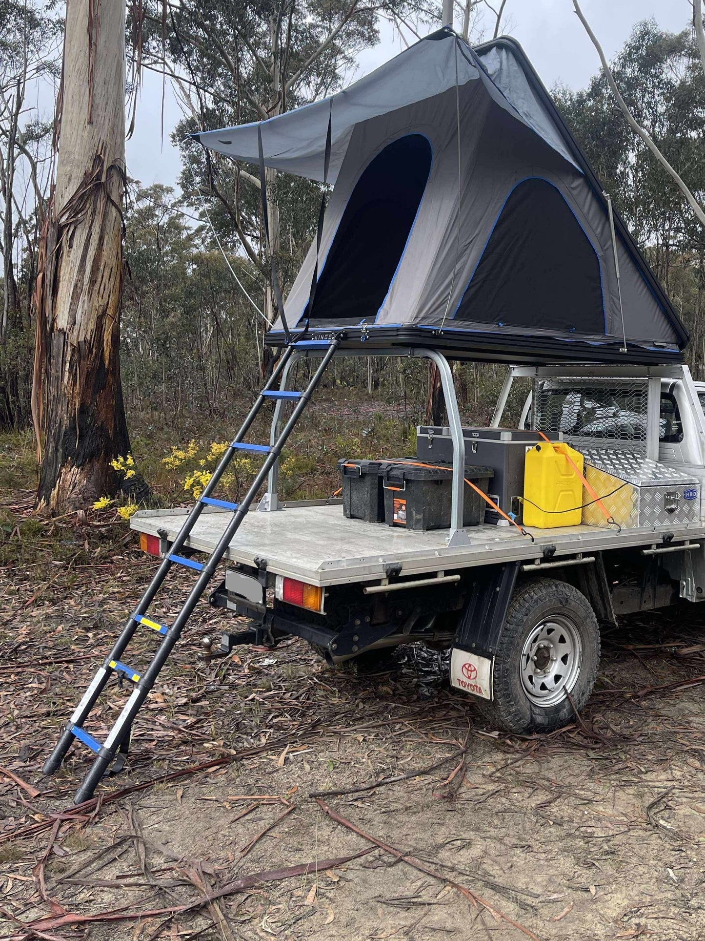 Universal Ladder rack