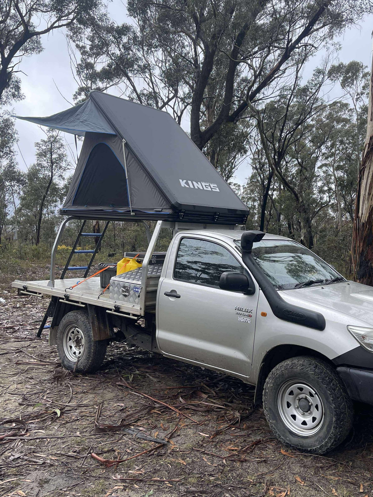 Universal Ladder rack